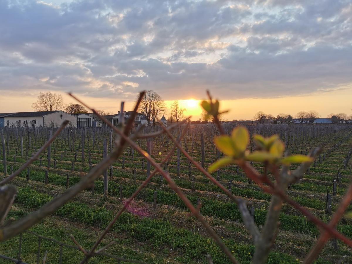 Quinault * Libourne